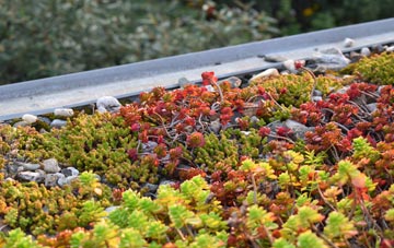 the cost of Naughton green roof installation