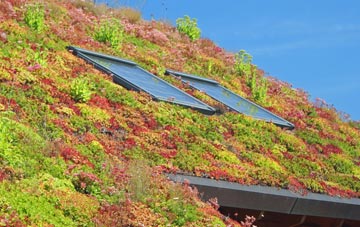 Naughton living roof systems