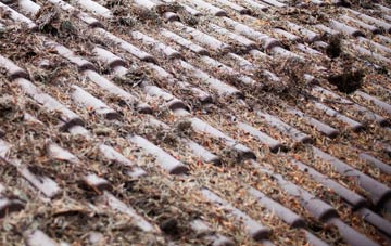 Naughton roof cleaning companies