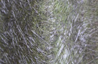 Naughton fibreglass roof work