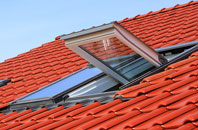 Naughton roof window